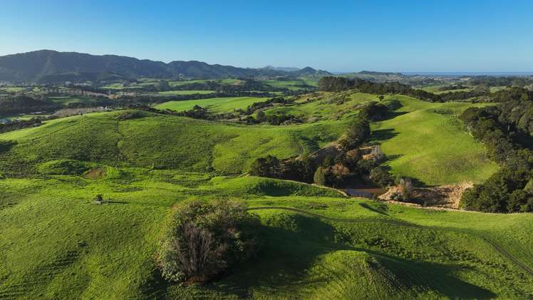 Lot Lot 2/404 Tara Road Mangawhai_8