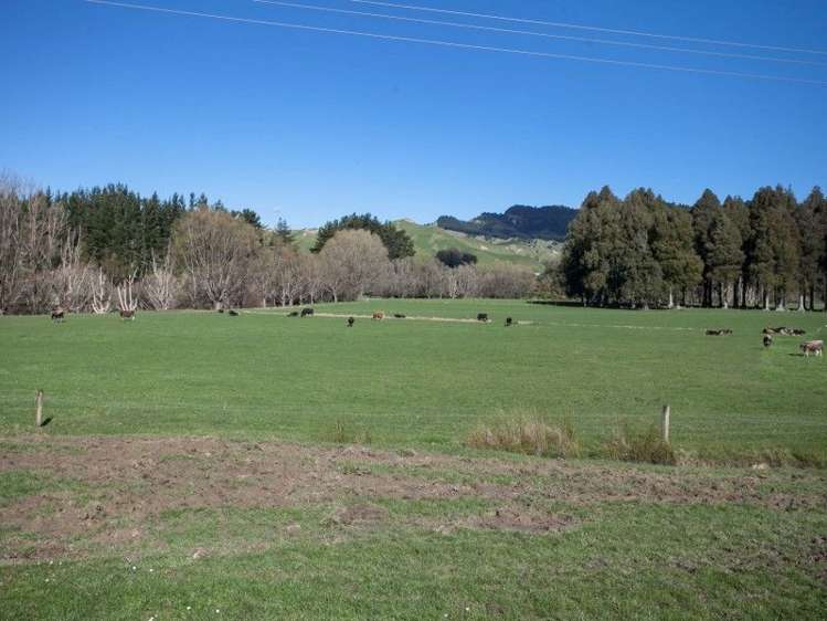 2286 State Highway 3 Mahoenui_12