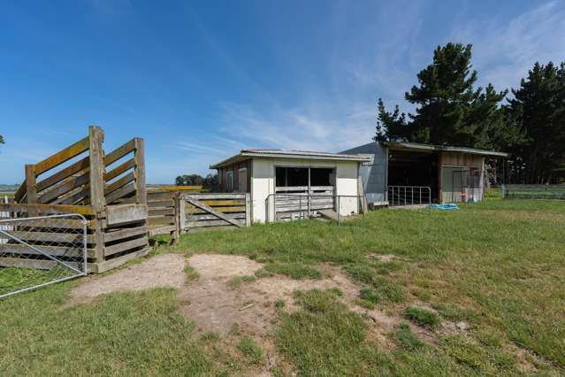 257 Halcombe Road Feilding_2