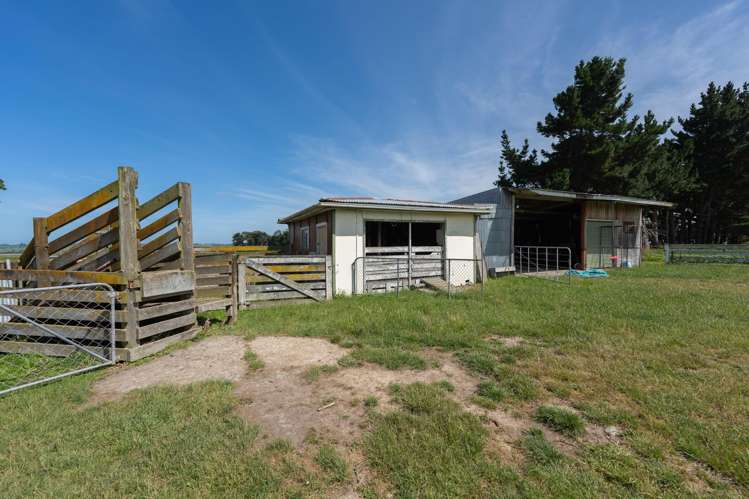 257 Halcombe Road Feilding_2