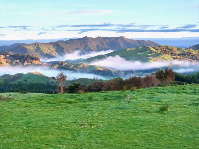 Lot 6 DP 409779 Gaddums Hill Road Outer Kaiti_2