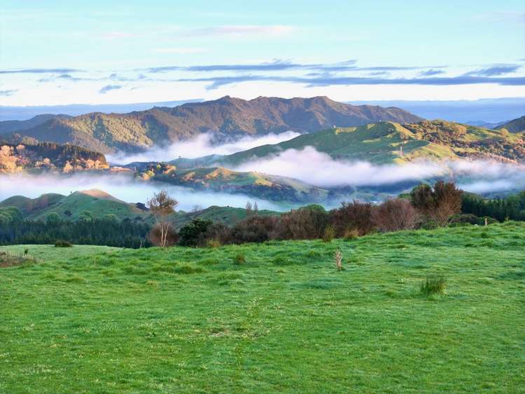 Lot 6 DP 409779 Gaddums Hill Road Outer Kaiti_2