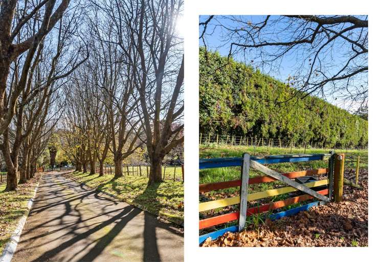 679 Runciman Road Ramarama_30