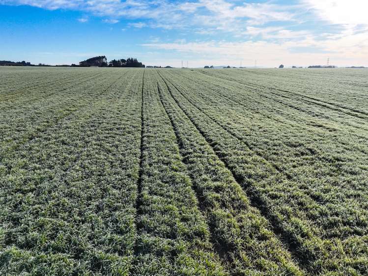 330 Pomona Road East_0