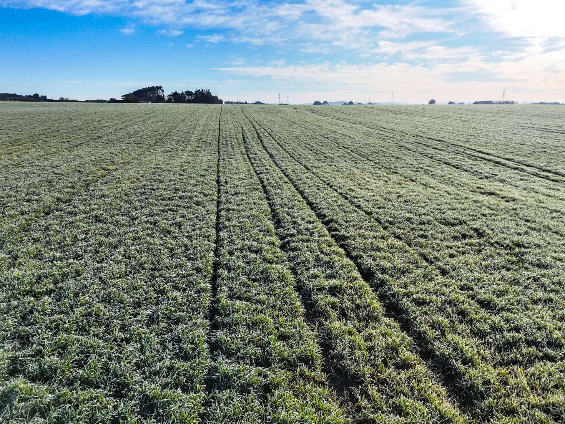 330 Pomona Road East Makarewa_0