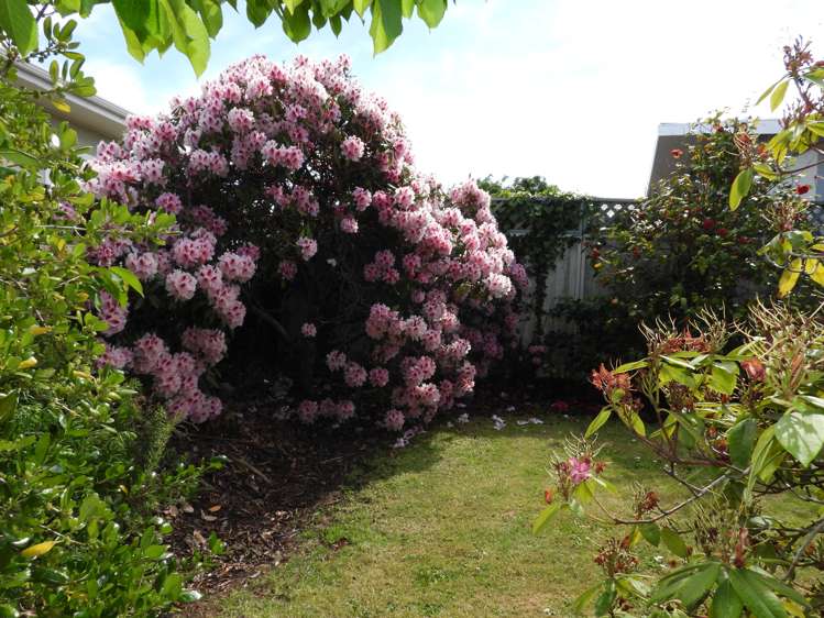 46 Redcastle Road Oamaru_15