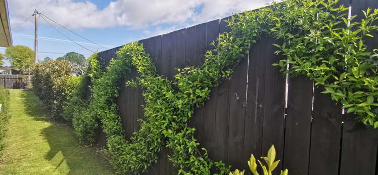 19 Vogel Street Cambridge_37