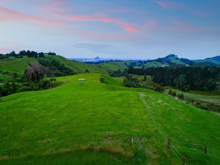 103e Rowe Road Ohauiti_16