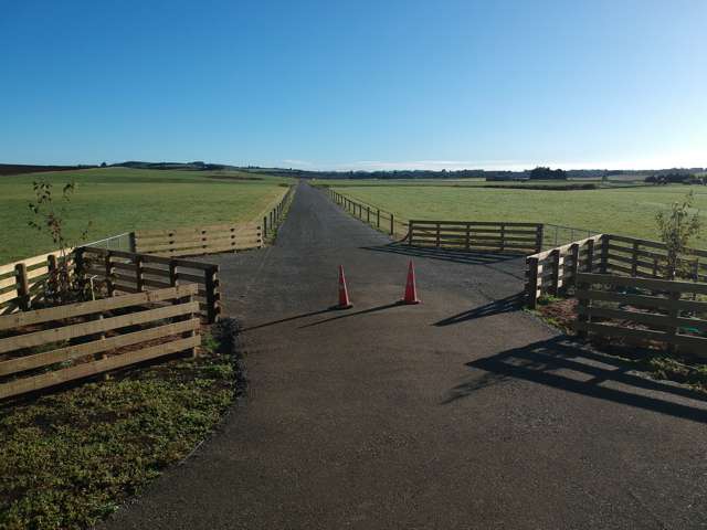 26 Springfield Road Totara_1