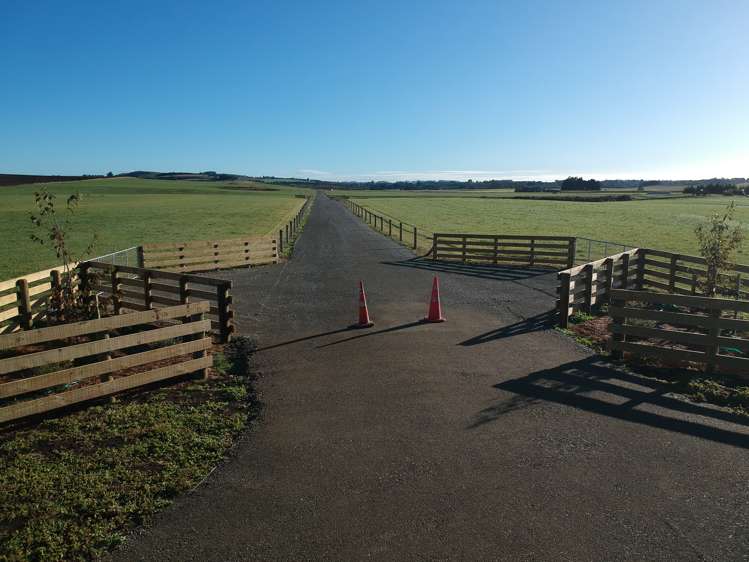 26 Springfield Road Totara_1