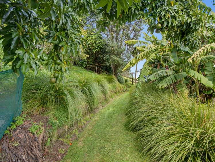 28 Roger Guy Place Welcome Bay_28