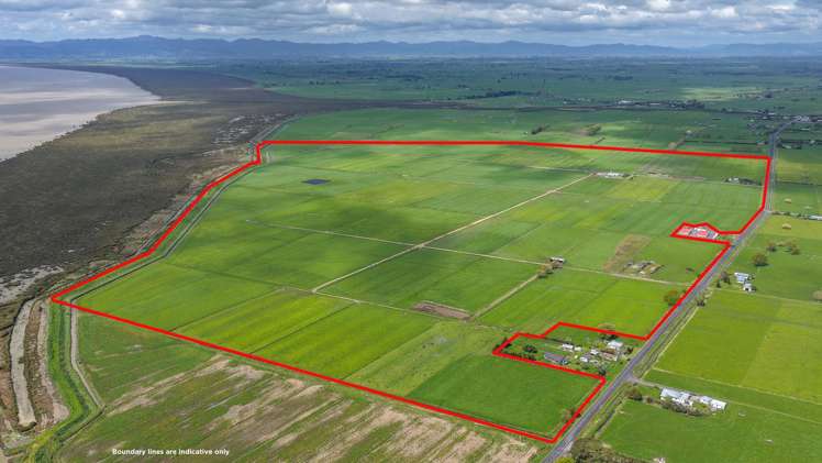 156 Front Miranda Road Waitakaruru_27