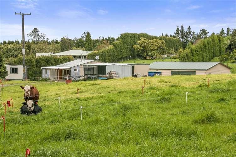 6 Killen Road Hauraki Surrounds_11