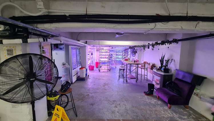 Basement/8 Kent Terrace Te Aro_1