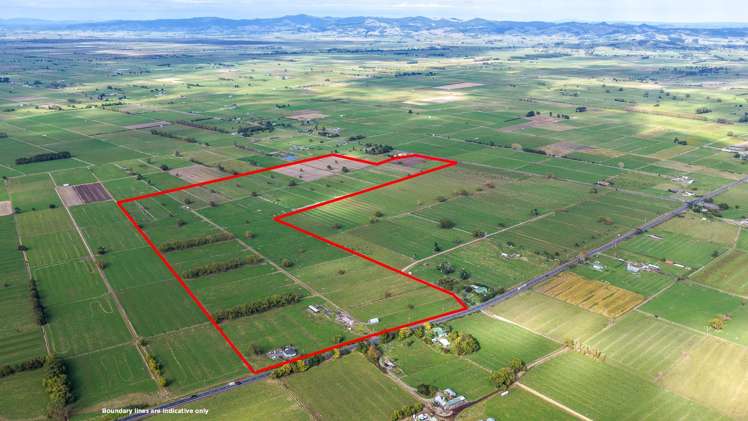 1338 State Highway 25 Pipiroa_22