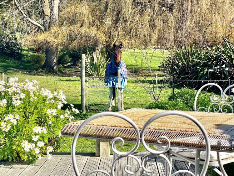 75 Ongaonga Road Waipawa_15