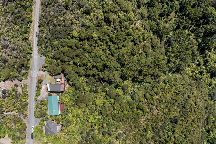 23 Log Race Road Piha_24