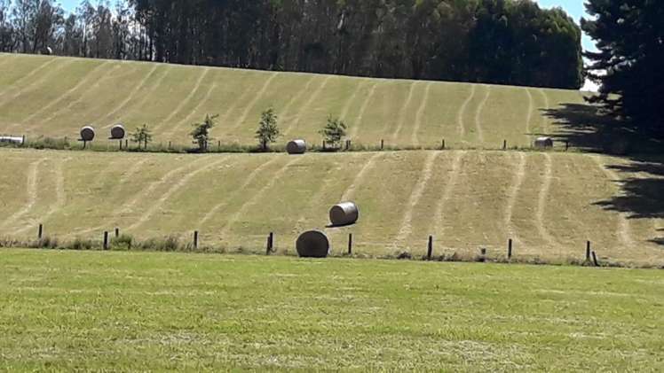 105 Willis Road Ngahinapouri_8