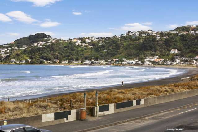 8b Lyall Parade Lyall Bay_2