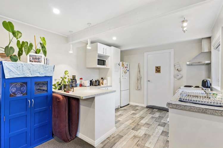 17 Rakau Road Hataitai_11