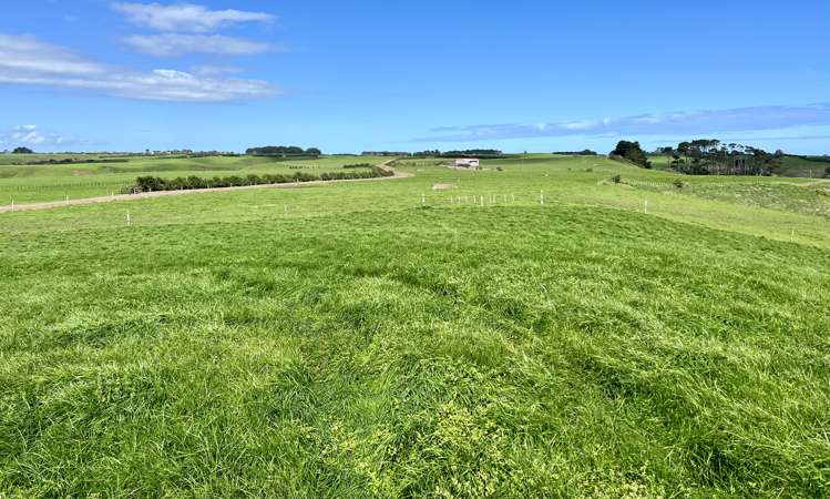 58 Manawapou Road Manutahi_8