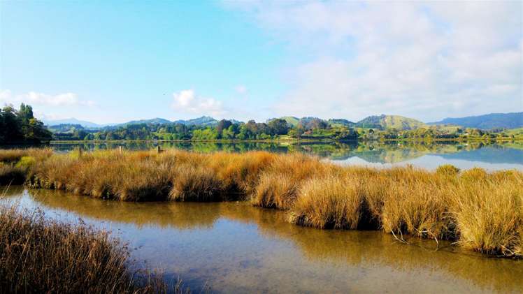 Lot 5/80 Ruatuna Road Waiotahi_9