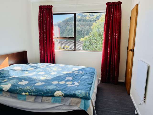 6 Ruth Grove Karori_2