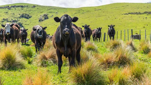 2726 Christchurch Akaroa Road Ataahua_2
