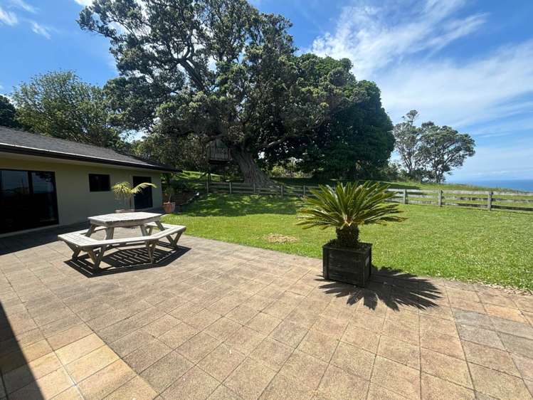 987 Hibiscus Coast Highway Waiwera_13