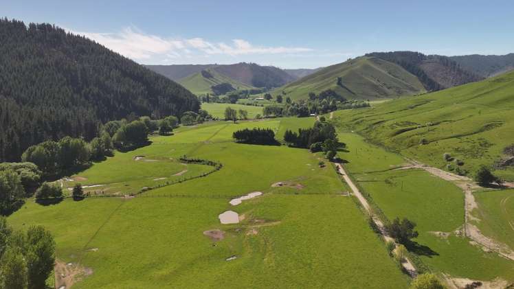 200 Upper Stanley Brook Stanley Brook_25