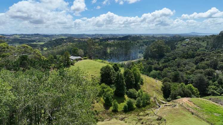 180 Ara-kotinga Whitford_19