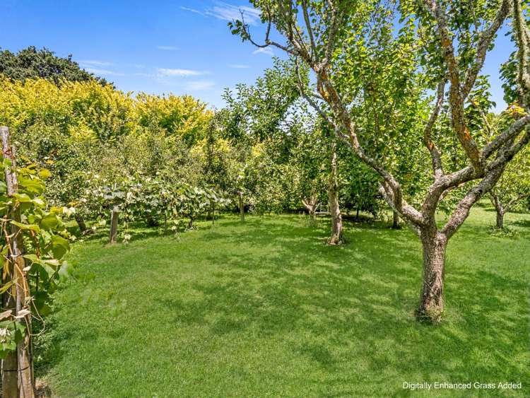 42 Delhi Avenue Aramoho_33