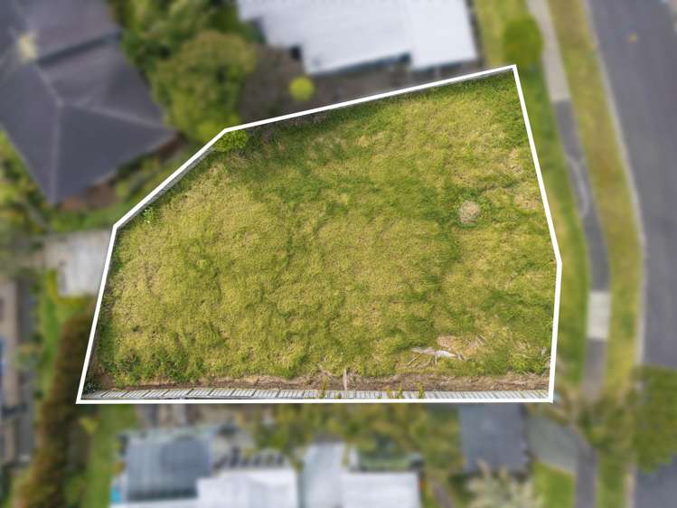 22 Hawaiian Parade_1