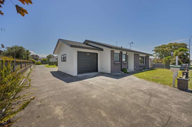 179A Guppy Road Taradale_12