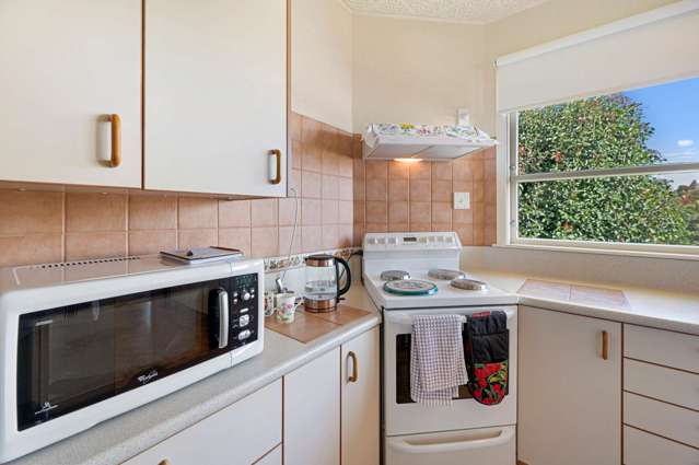 19 Franklin Terrace Havelock North_4