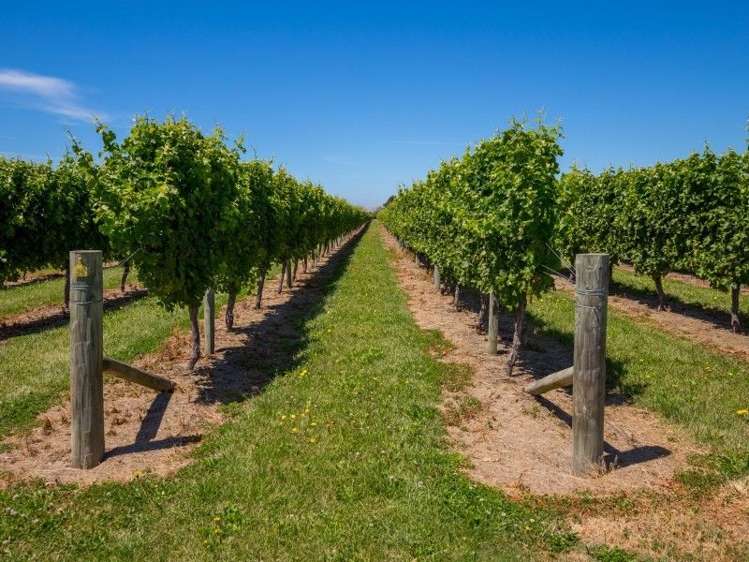 100 Watsons Road Grovetown_16