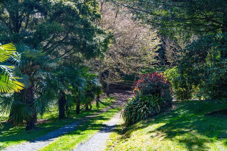 3/67 Forest Road Oruanui_24