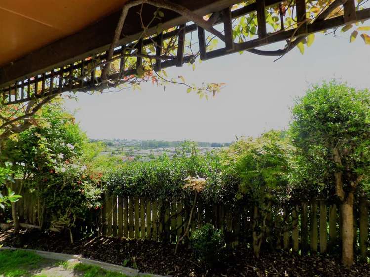 337b Waihi Road Judea_15