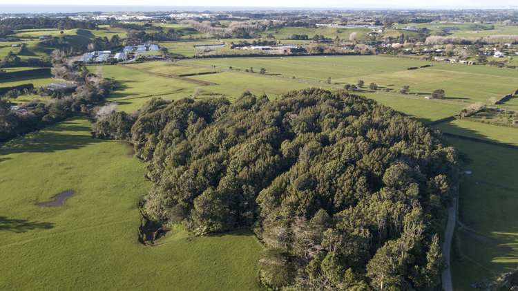 34 Lower King Road Tarurutangi_40