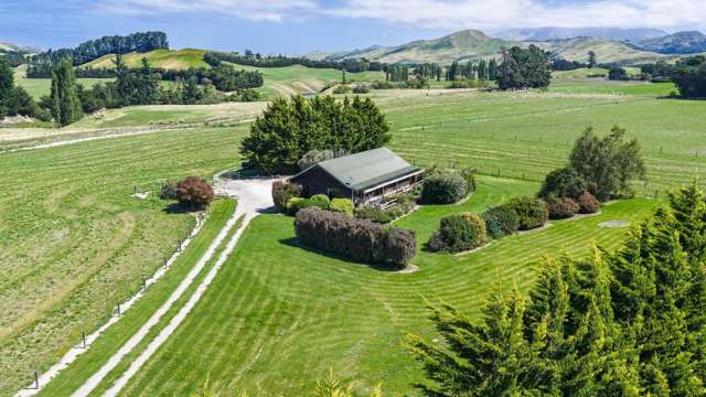 36 Seddon Street Ward_1