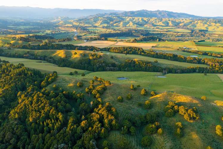 1527 Wakarara Road Ongaonga_1