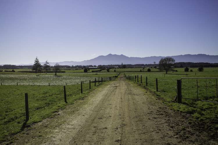 224 Maungakawa Road Ngarua_5