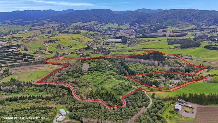 53C Woodland Road Tahawai_24