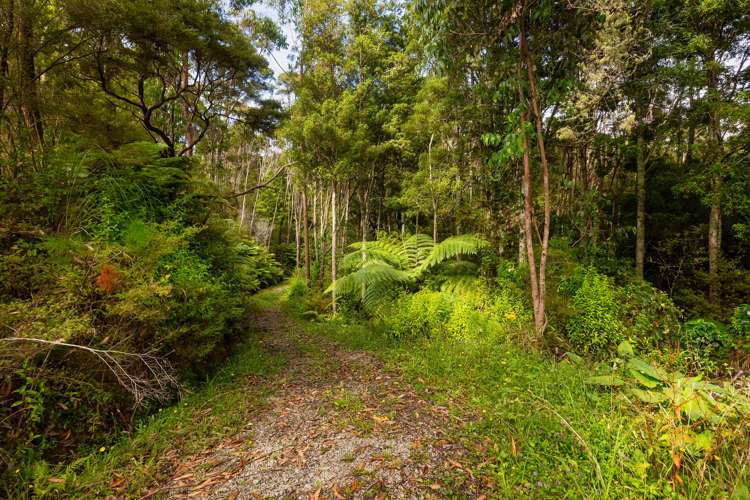 81 Grange Street Warkworth_31