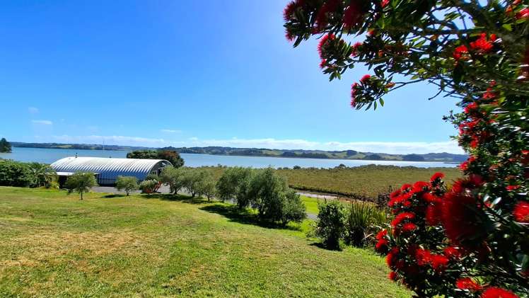 68 Goodall Road Snells Beach_13