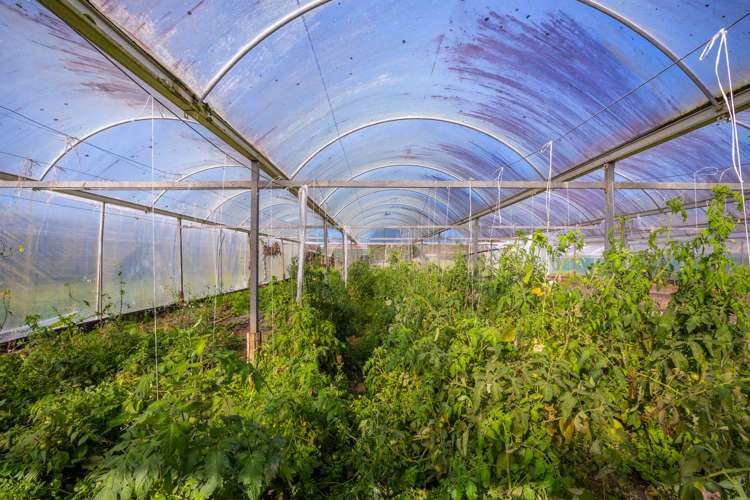 80 Omaha Flats Road Tawharanui Peninsula_16