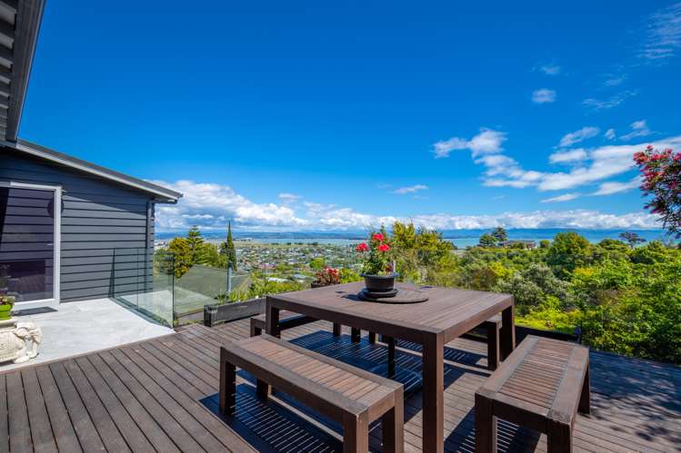 82 Tosswill Road Tahunanui_23