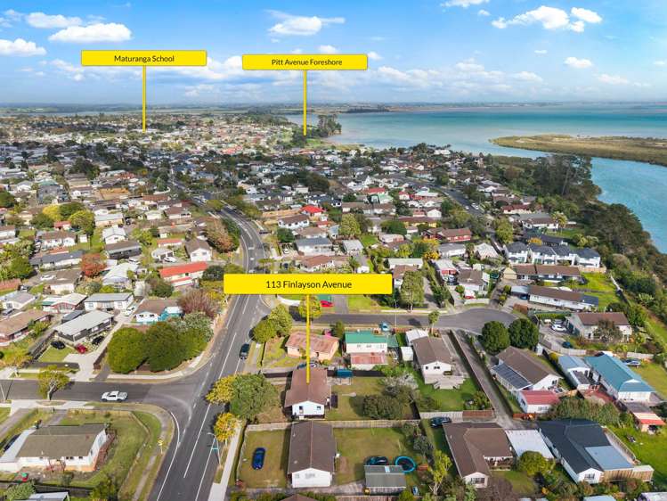 113 Finlayson Avenue Clendon Park_11