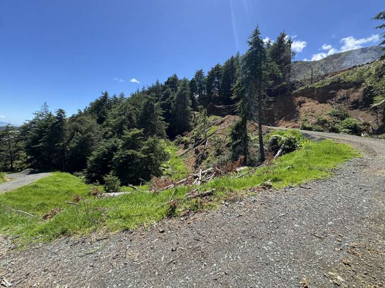 Lot 2 Brown Road Kawhia_19