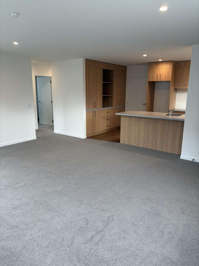 19B Killarney Street Alexandra_4